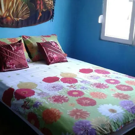 Homestay Mandala *
